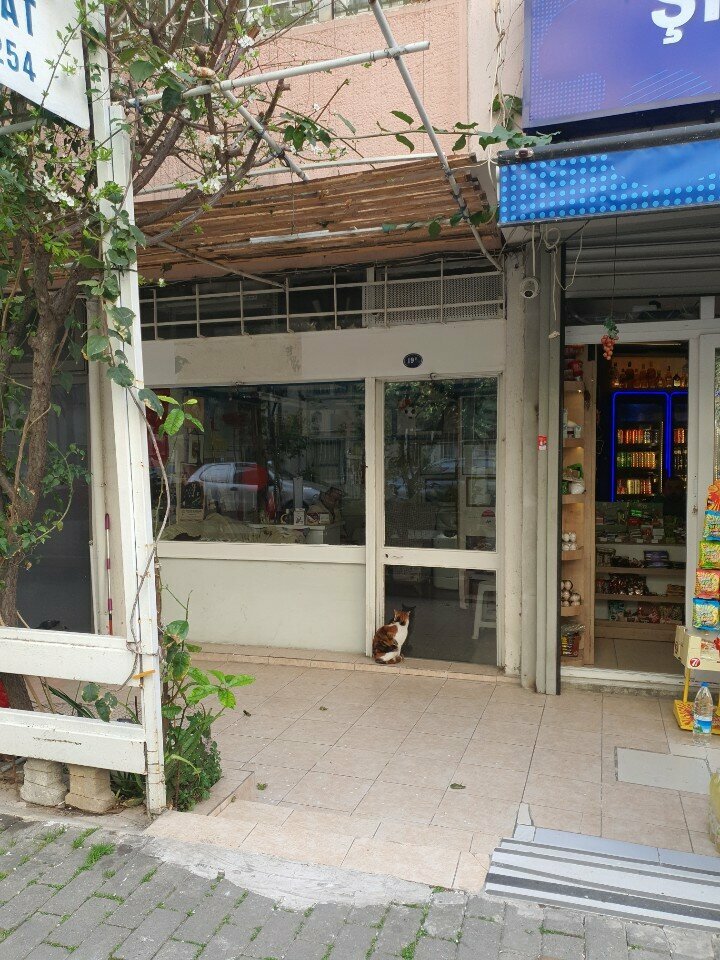 Boat tours Karagoz Boat Tour, Izmir, photo