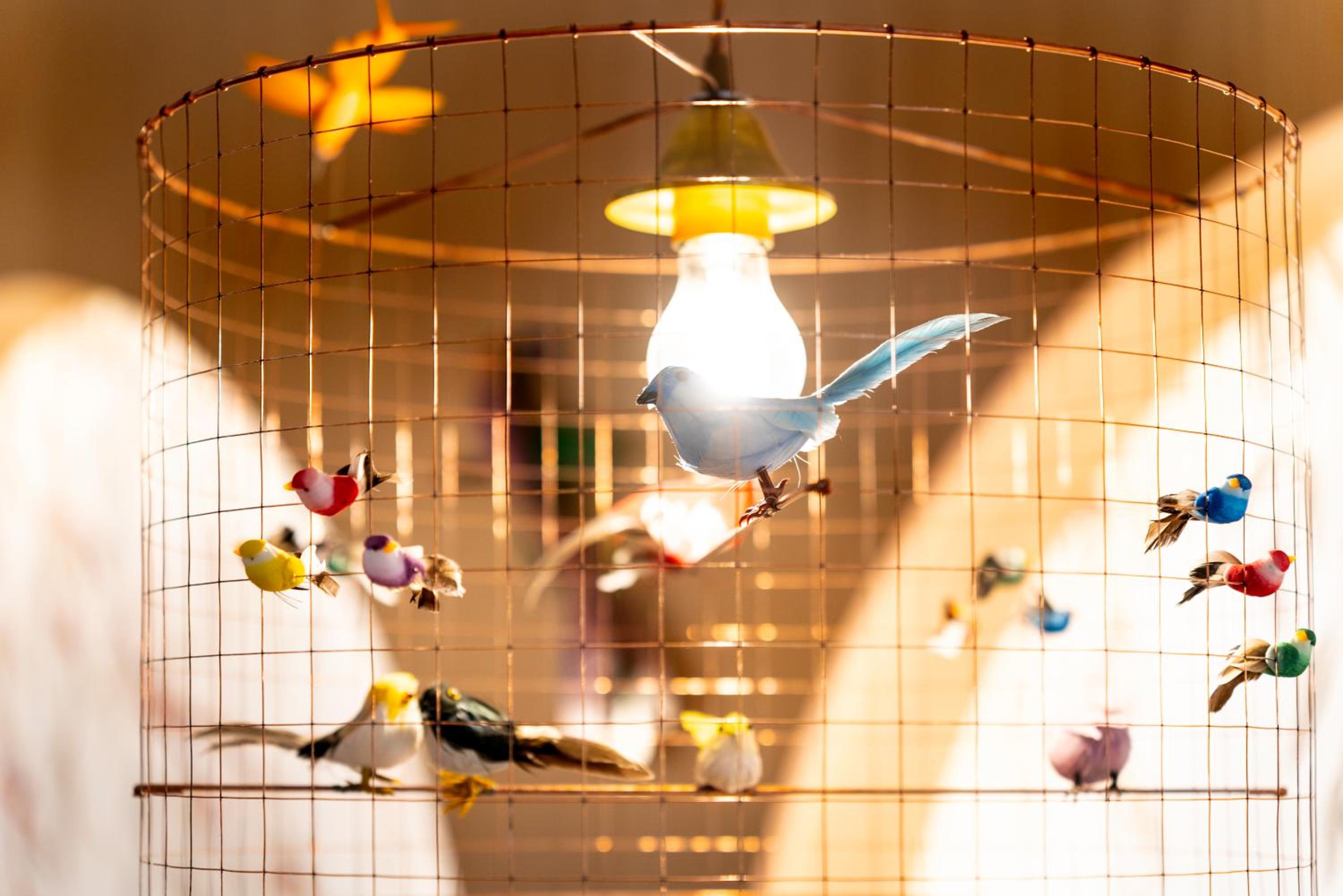 Фото Ibis Styles Strasbourg Centre République