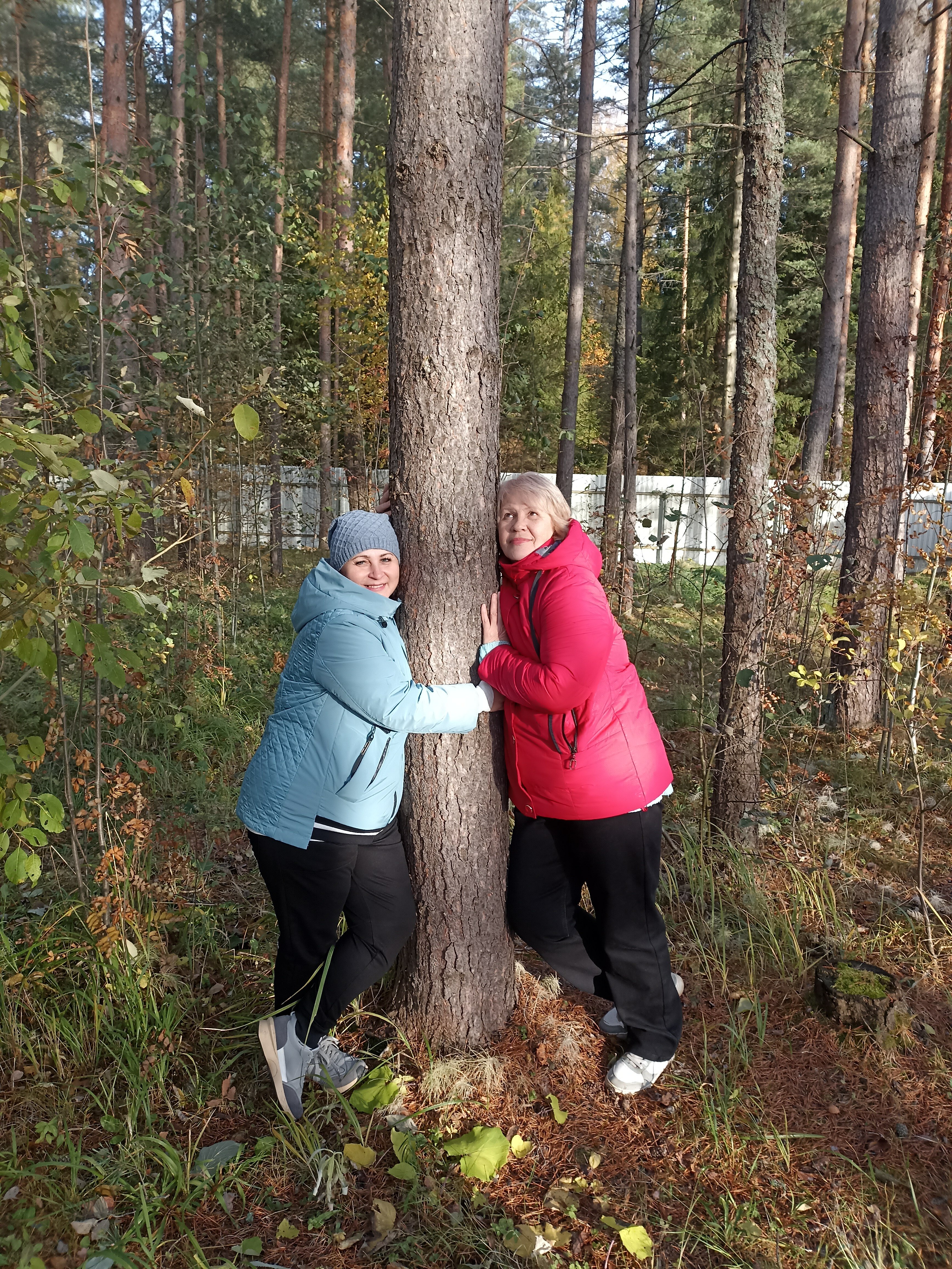 Фото Пикник 2.0