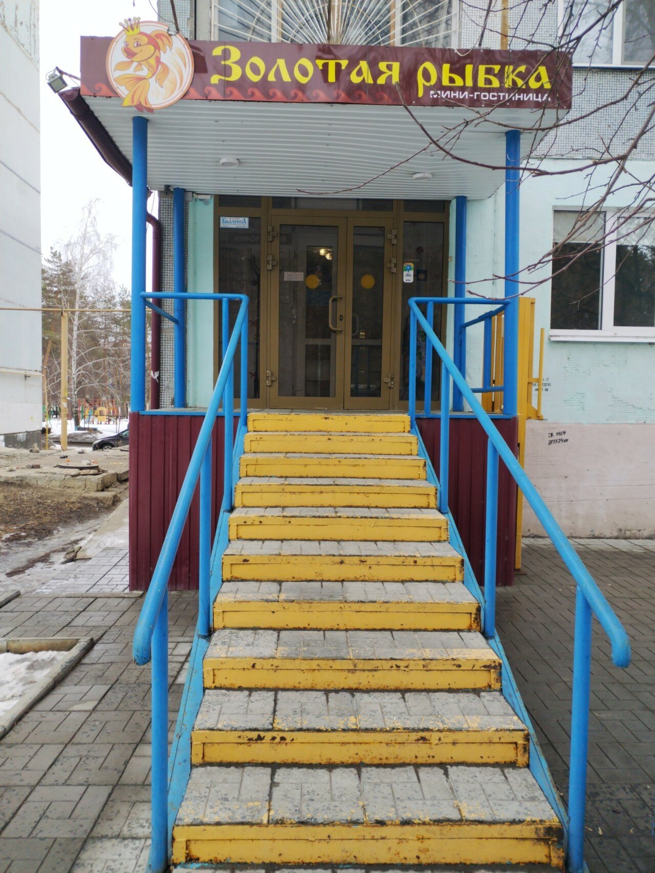 Фото Золотая рыбка