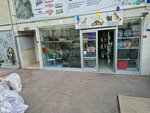 Lily pet kuaför (Istanbul, Esenyurt, Akcaburgaz Neighborhood, 3064th Street, 18A), pet shop