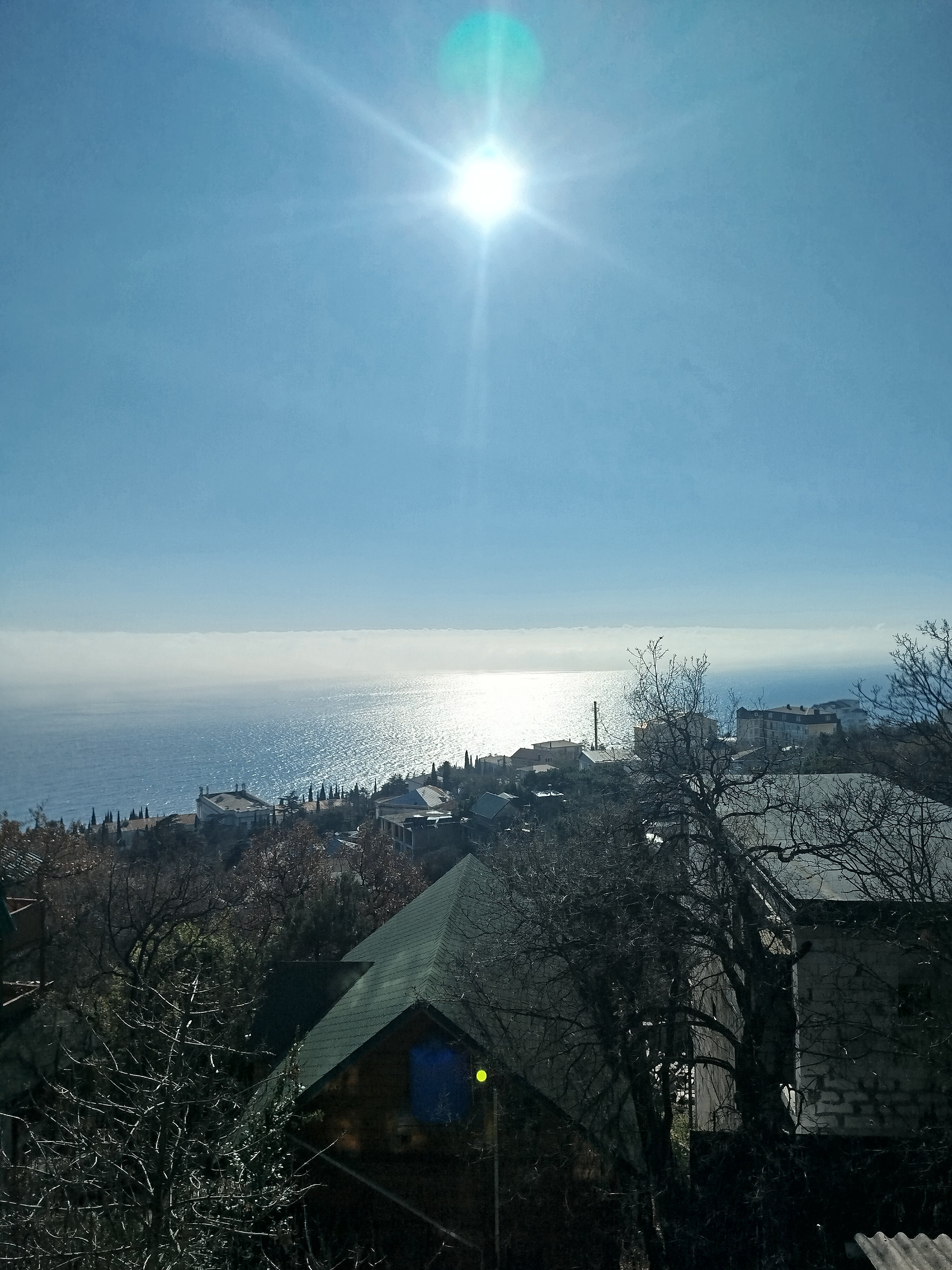 Фото Лесные дворики