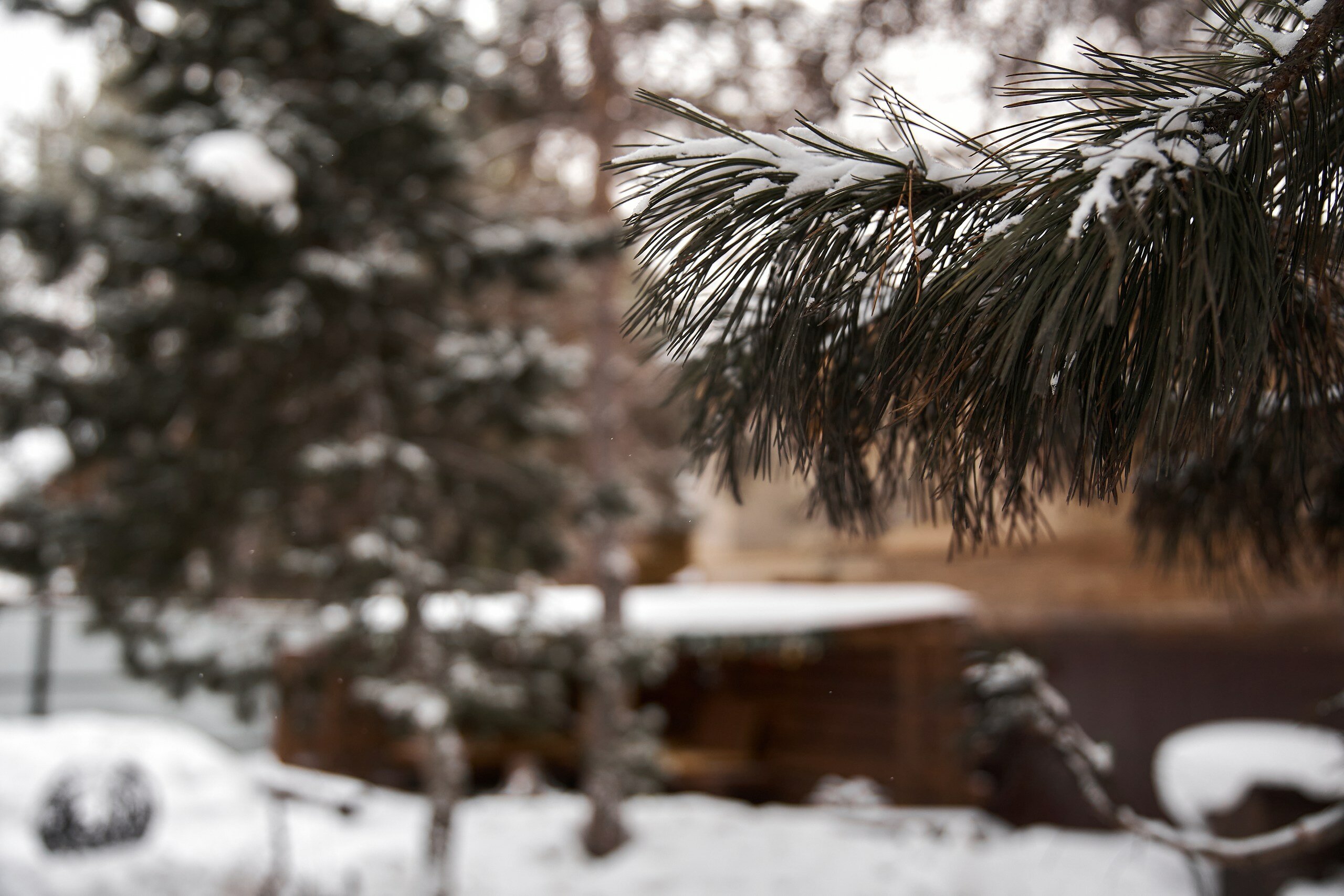 Фото Авангард