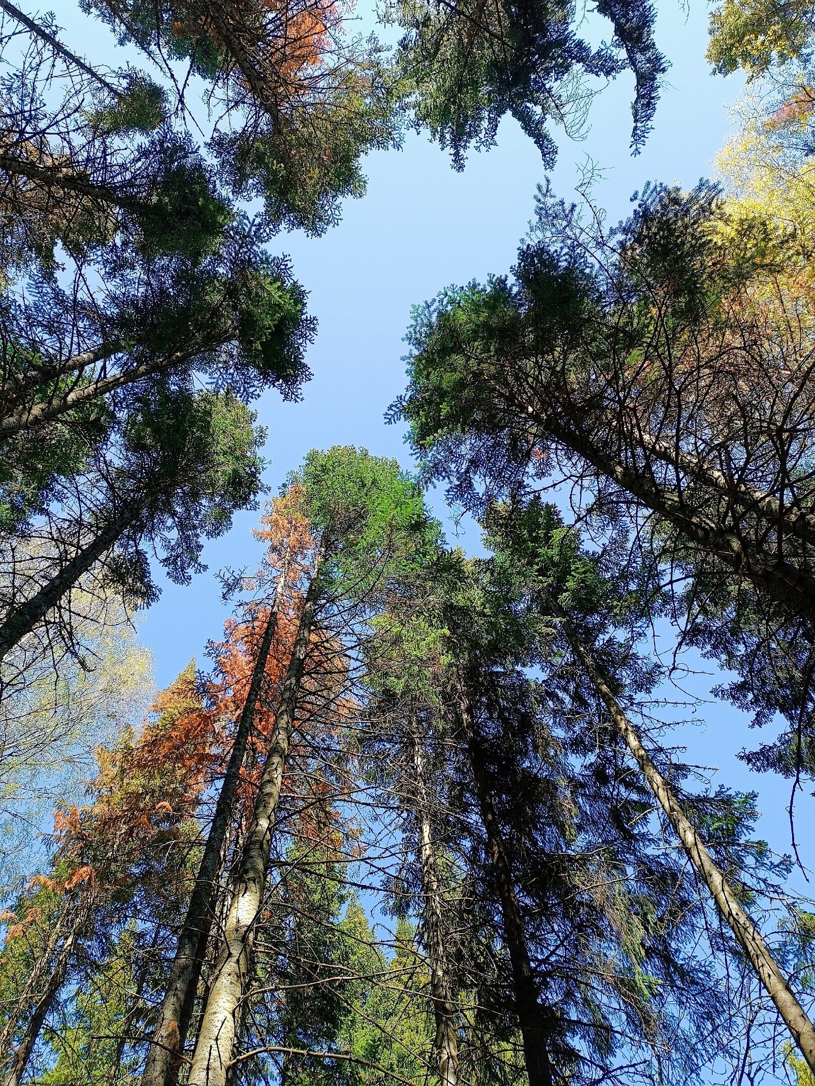 Фото СчастьеЛюбитТишину