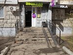 Авокадо (Dubninskaya Street, 39) ، محل بقالة