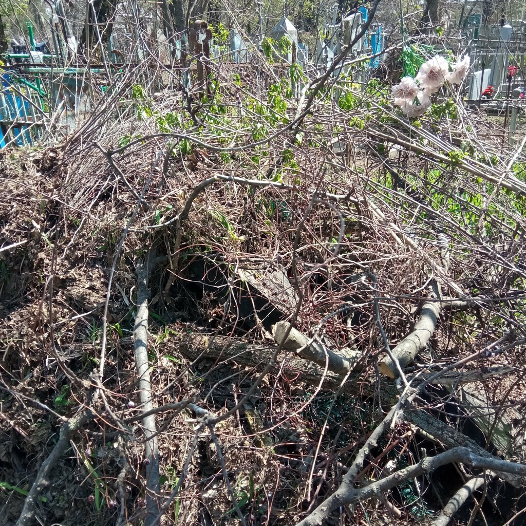 Cementerio Старое городское кладбище, , foto