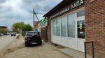 Лапа (Persikovaya ulitsa, 209), veterinary clinic