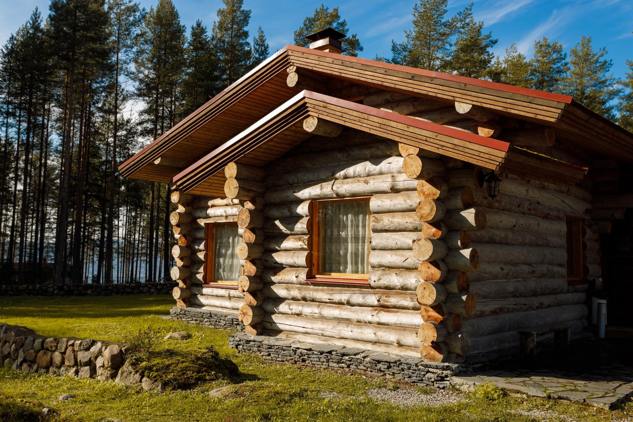 Фото Медвежка в Карелии