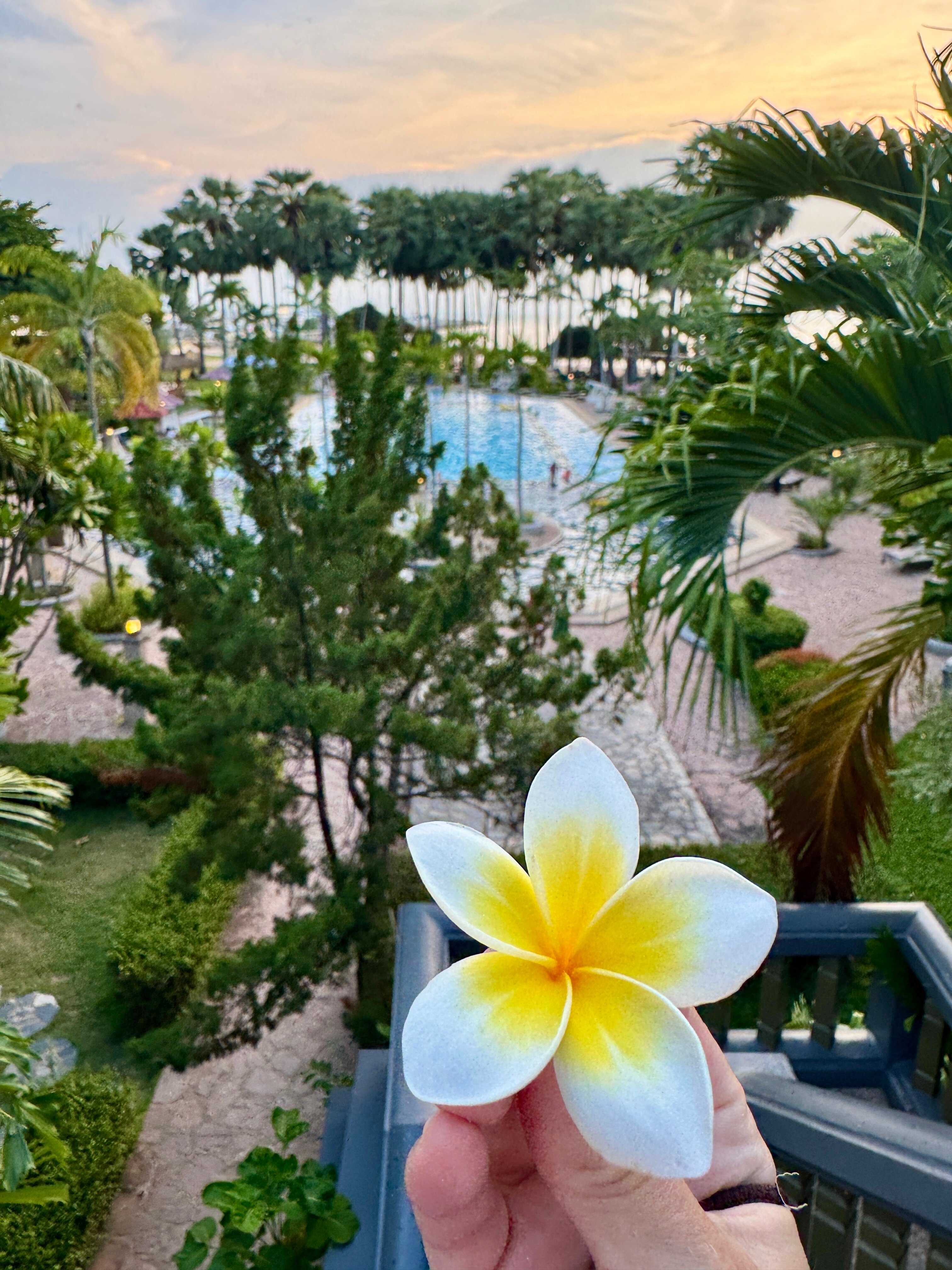 Фото Botany Beach Resort