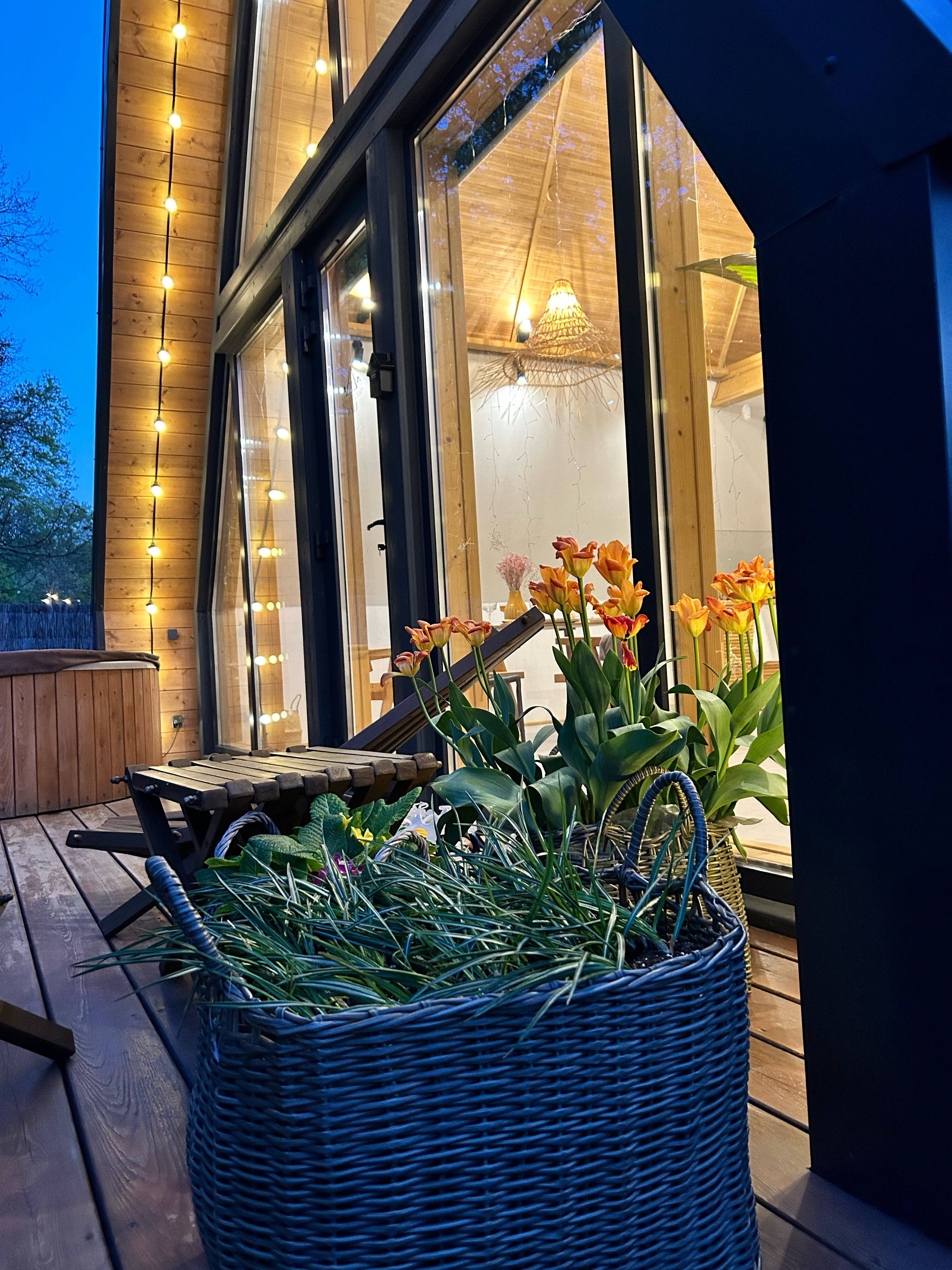 Фото Собер Глэмп