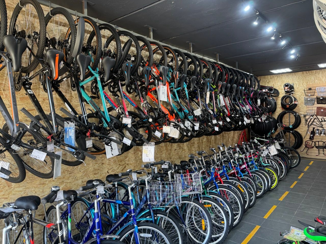 Жыныстық қатынаста 80 жастан асқан әжелер