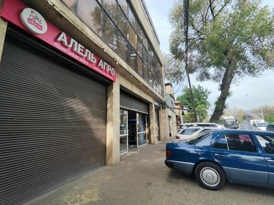 Grocery Ak keme-2030, Almaty, photo