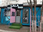 Lala Flowers (Sattar Erwbaev Street, 50А), flower shop