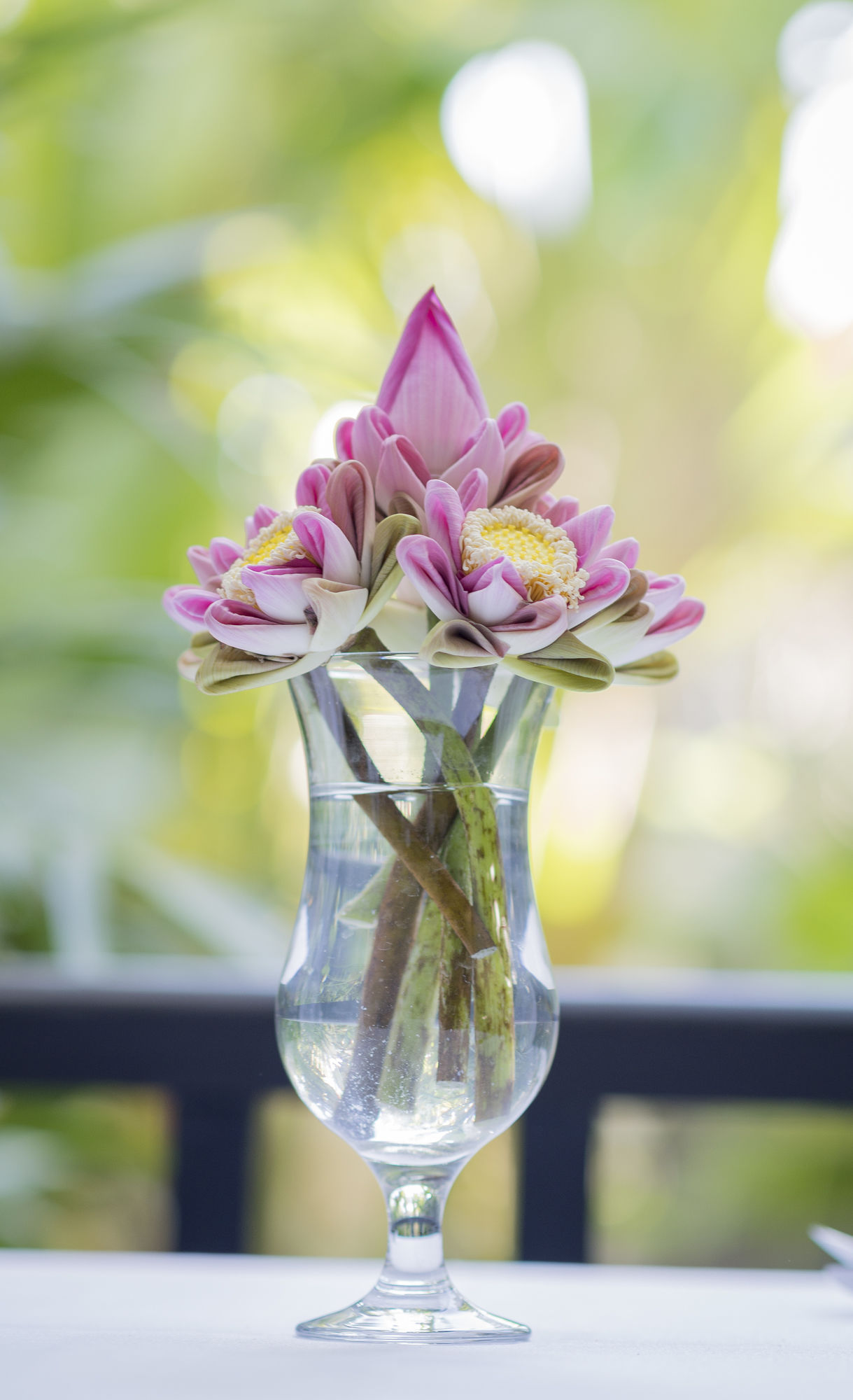 Фото The Grand Cyclo Boutique Suite & SPA