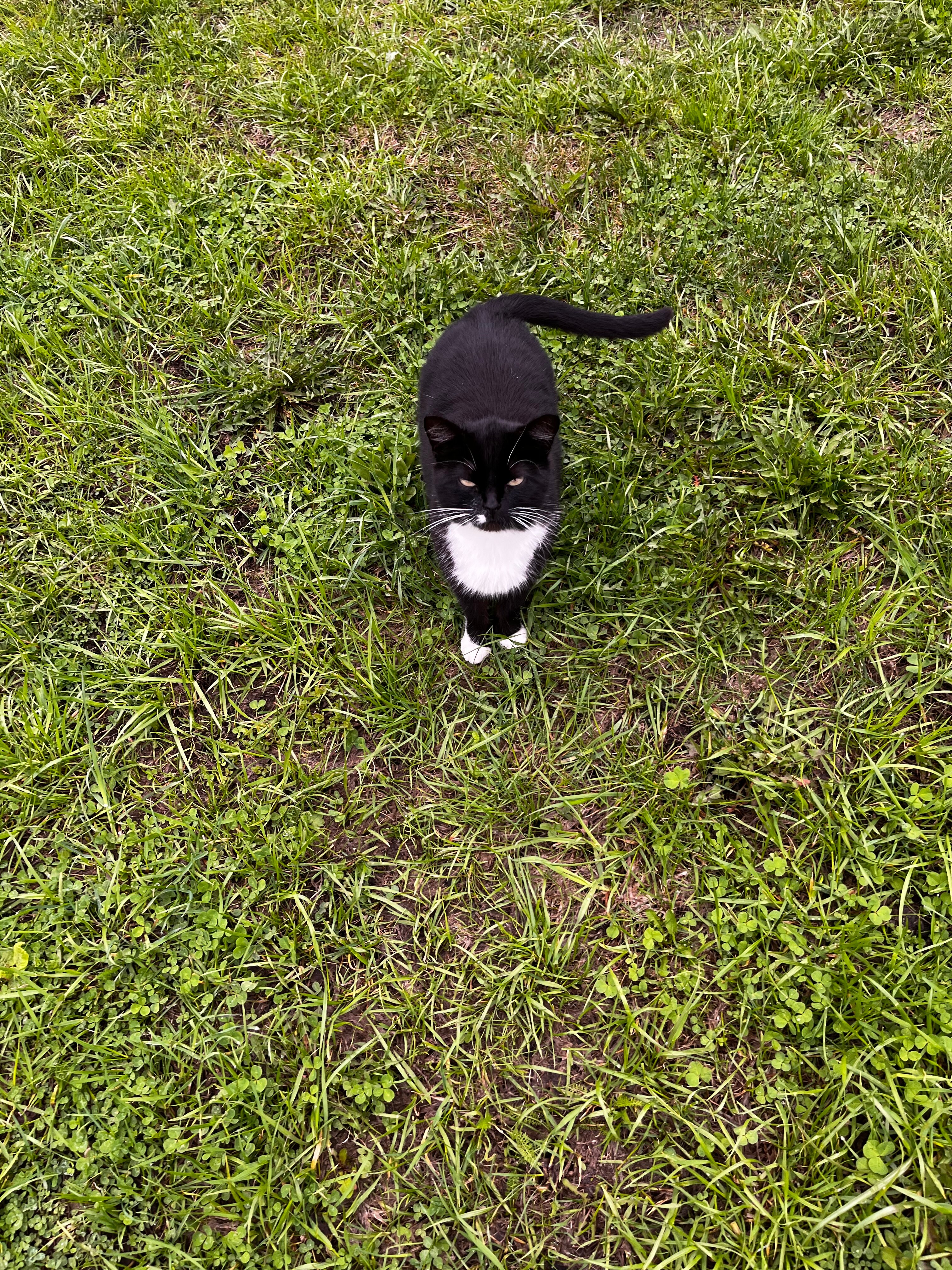 Фото Прилесье