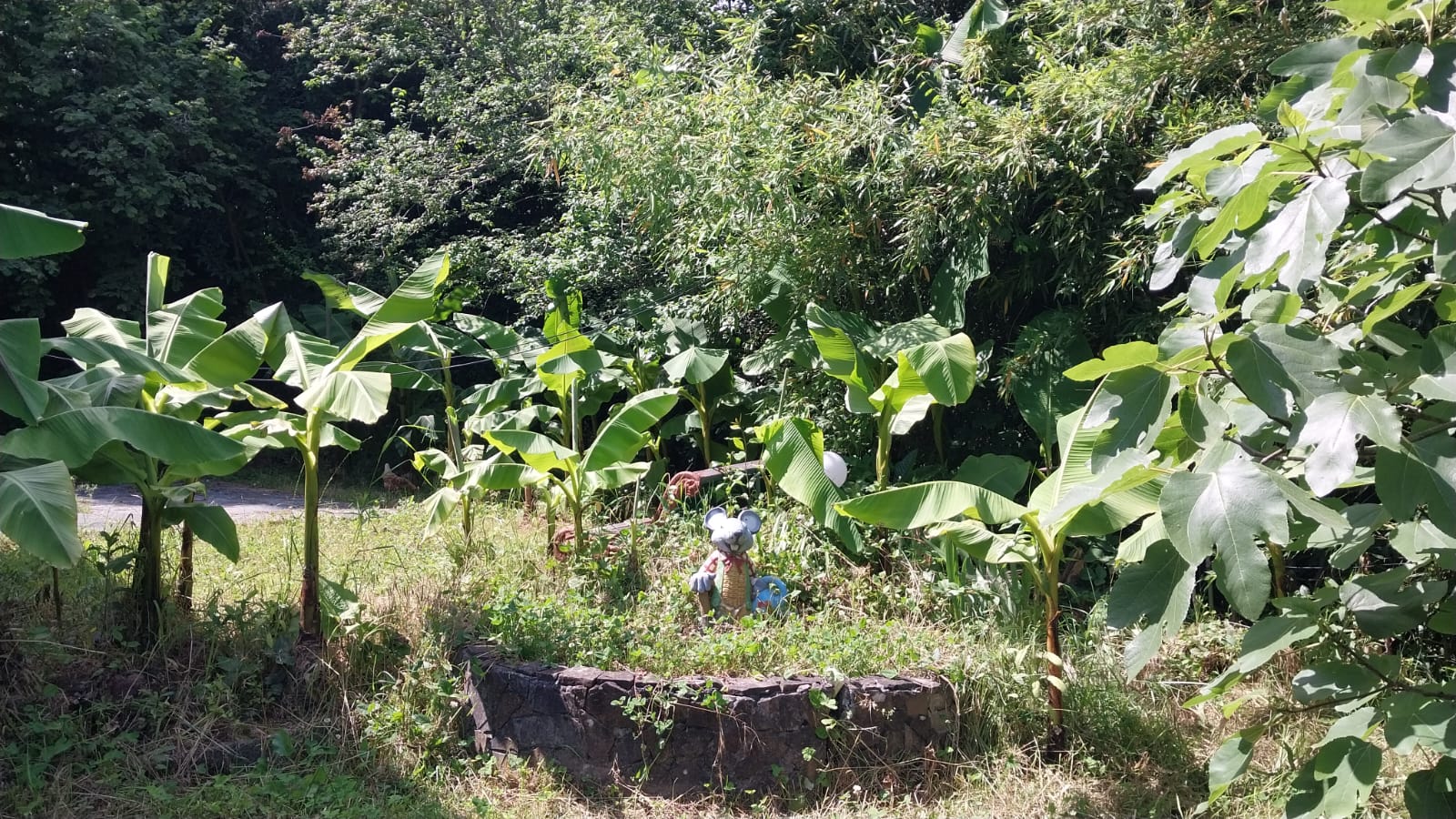 Фото Загородный дом