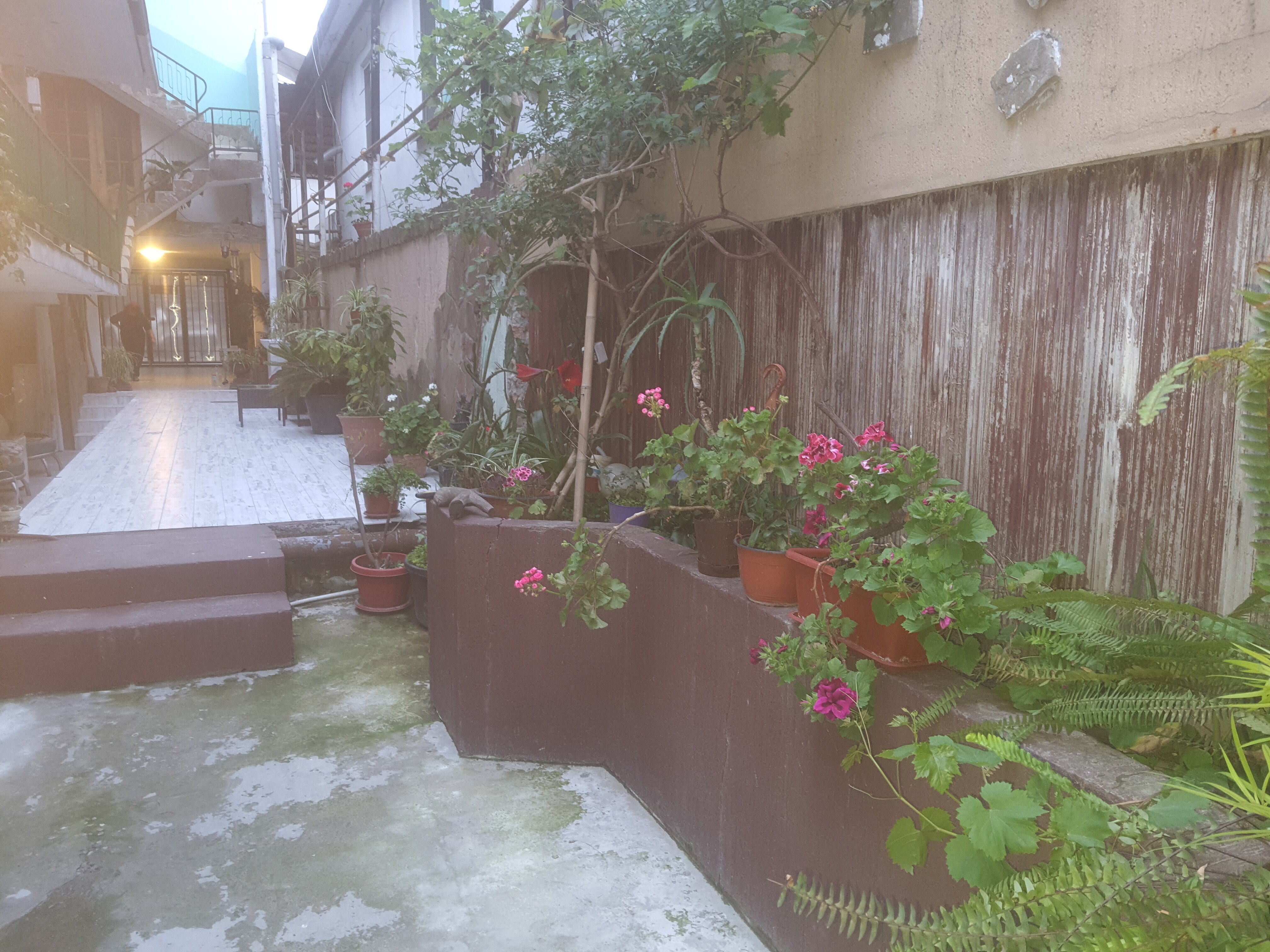 Фото Тенистый Берег