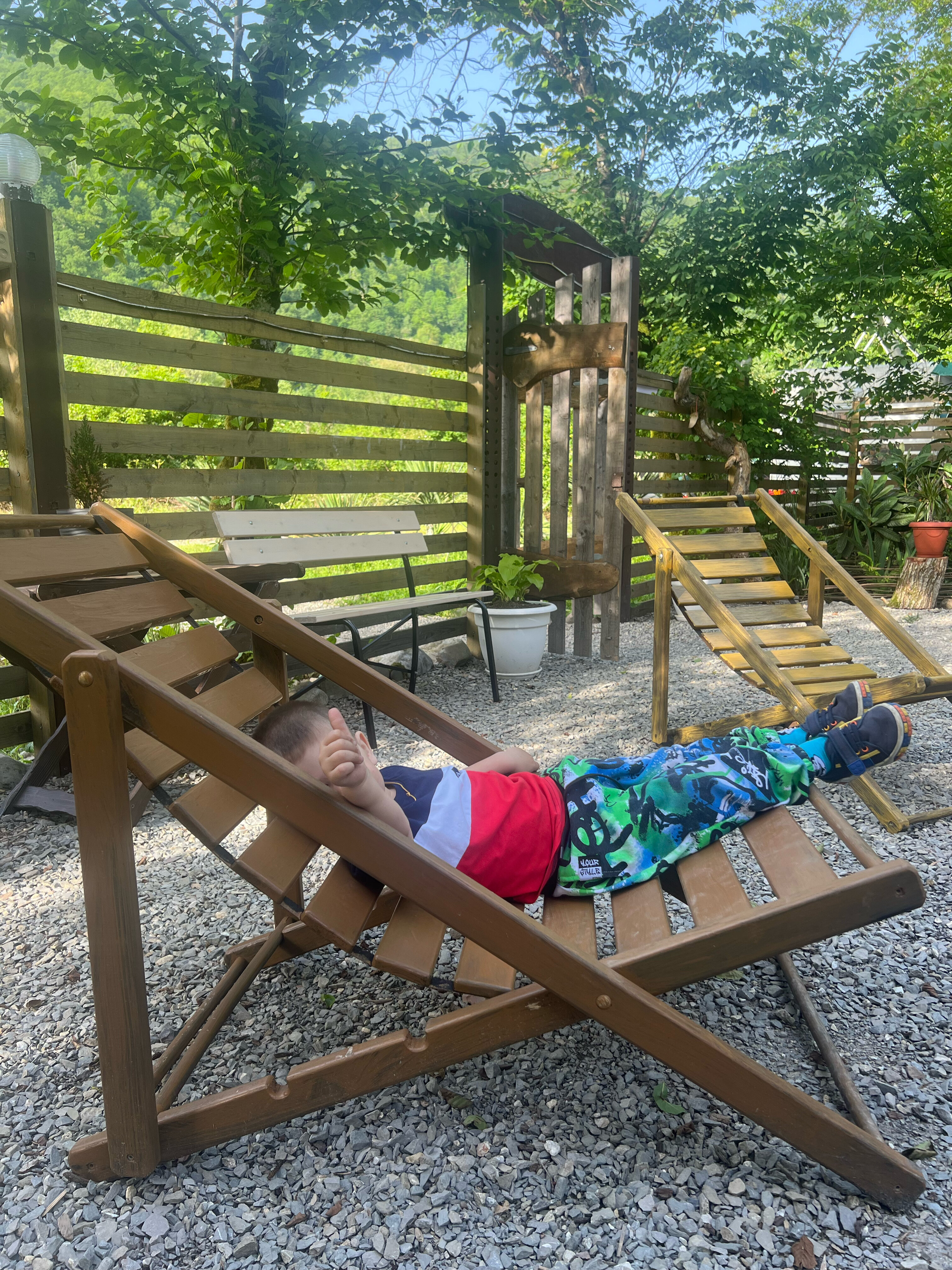 Фото Южный Вайб Древо