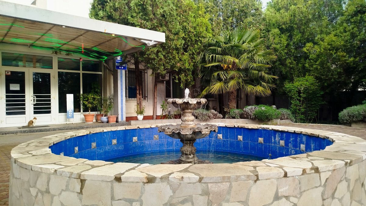 Фото Альбатрос