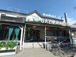 Gaziza (Abdullah Rozybakiev Street, 166), cafe