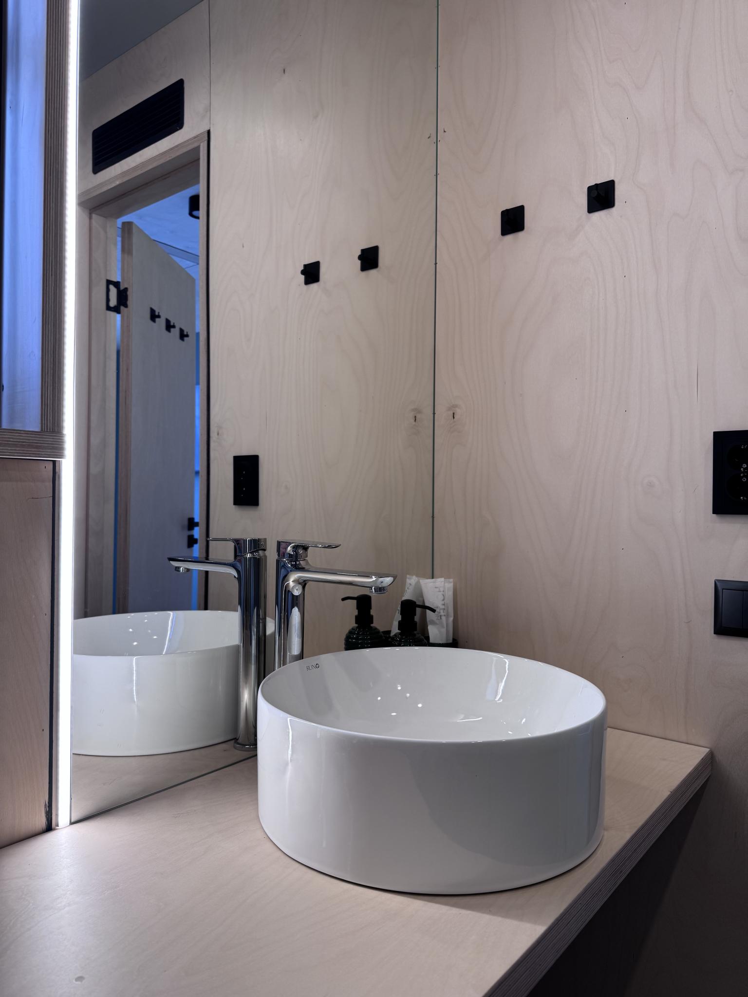 Фото Снежные Гуси