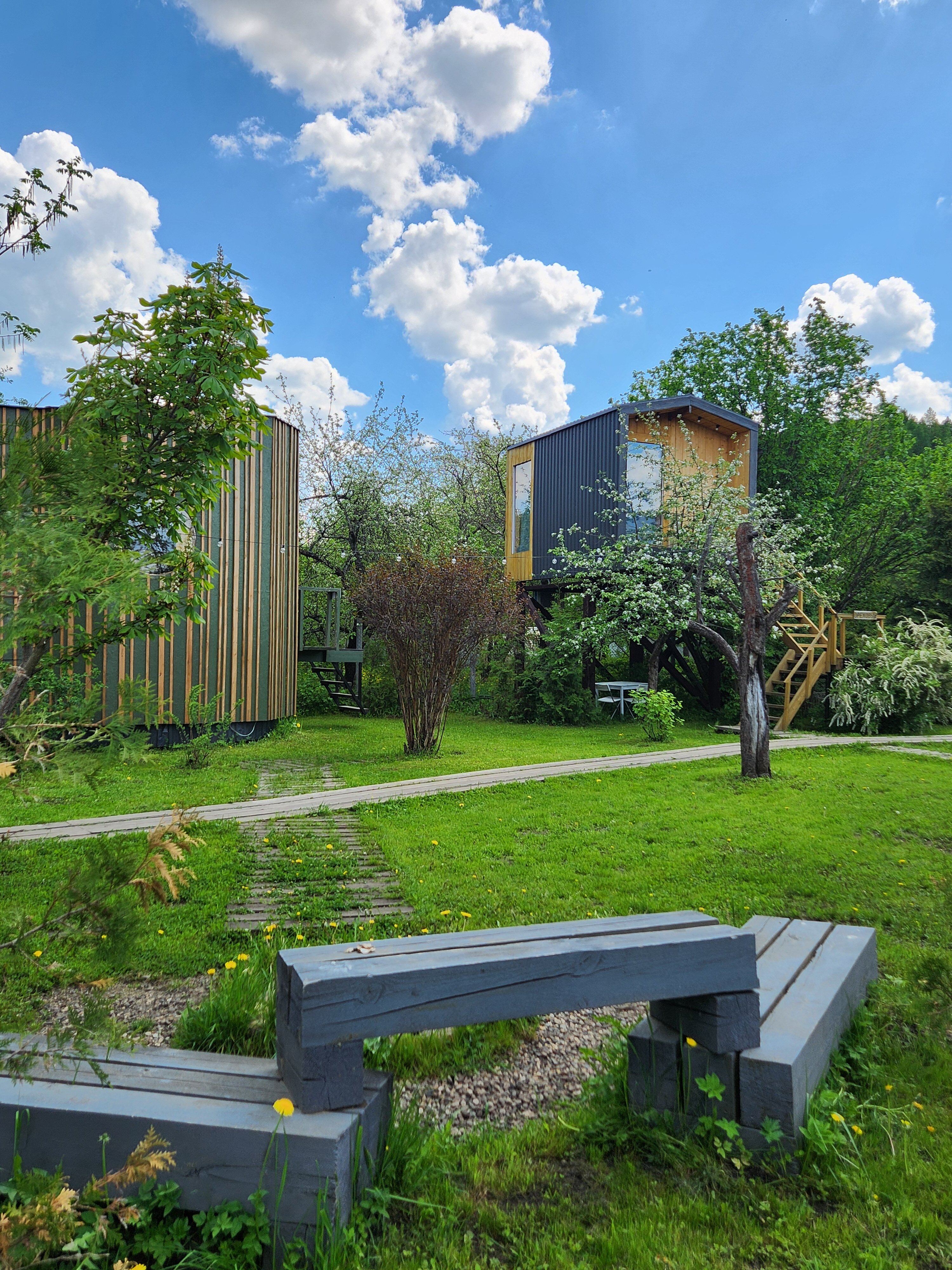 Фото Дом на дереве