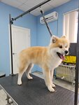 Зоосалон (Dimitrova Street, 56А), pet salon