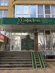 СофиДель (Partizanskaya Street, 2А), medical center, clinic