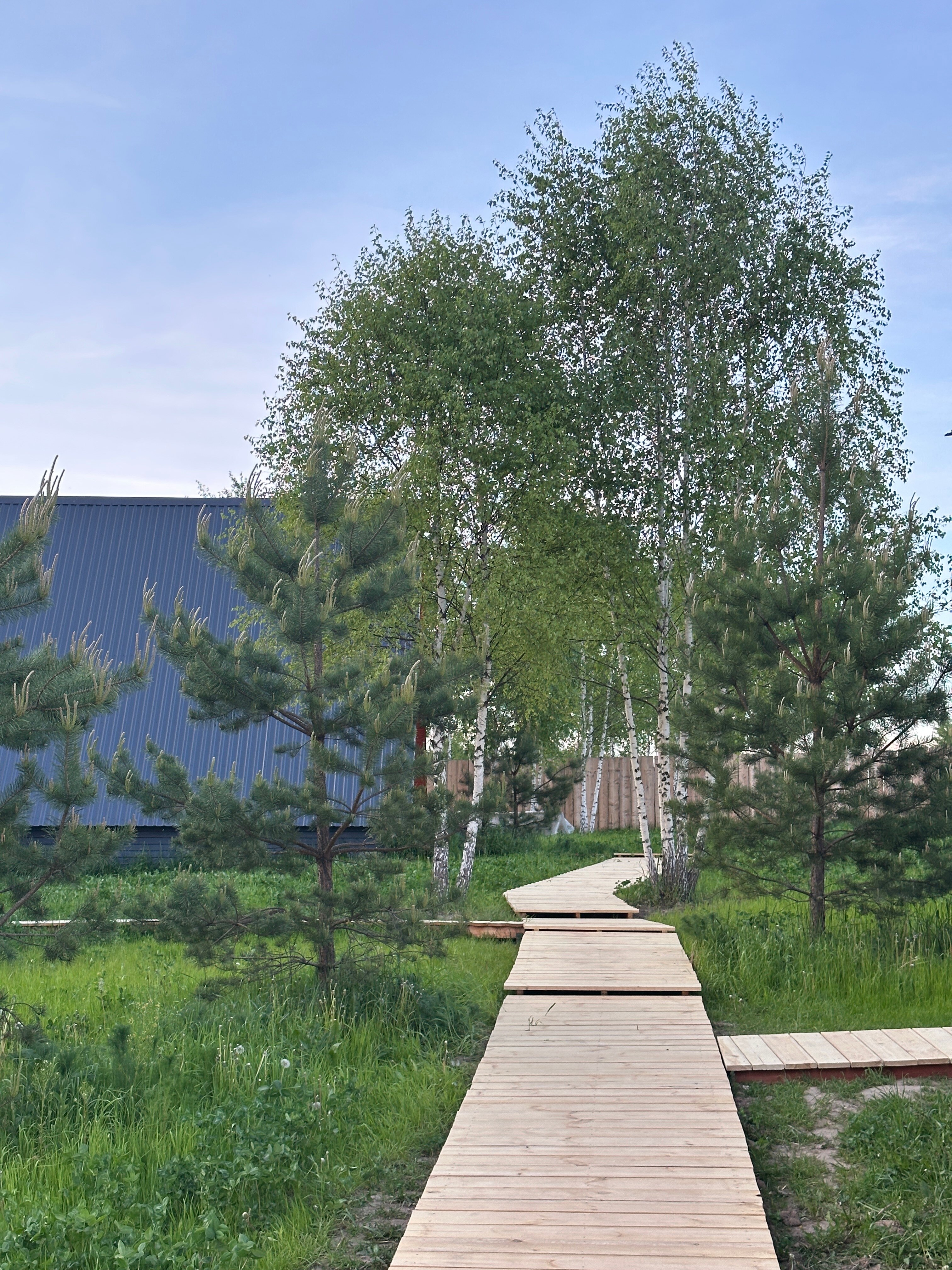 Фото Лисичкин холм