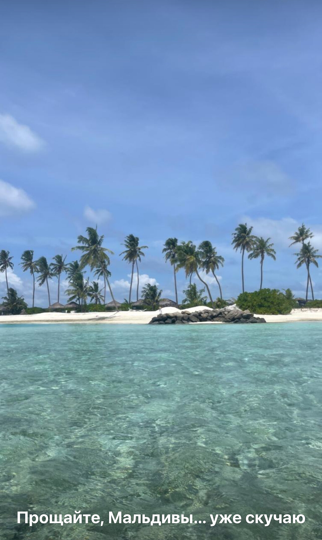 Фото The Bilimbi Guesthouse & Inn