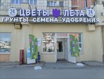 Flowers summer (Revolyutsii Street, 6), flower shop