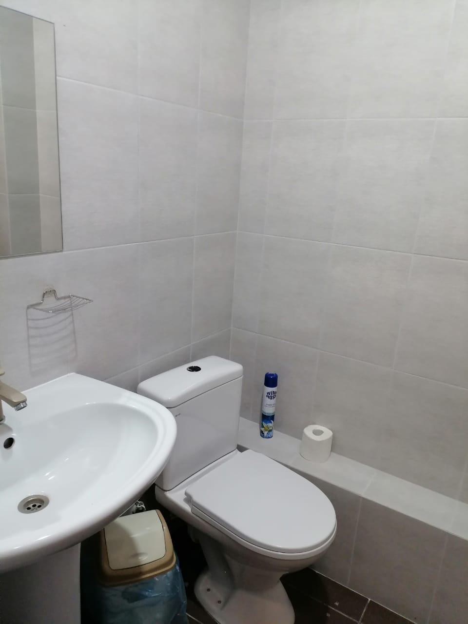 Фото Дельфин