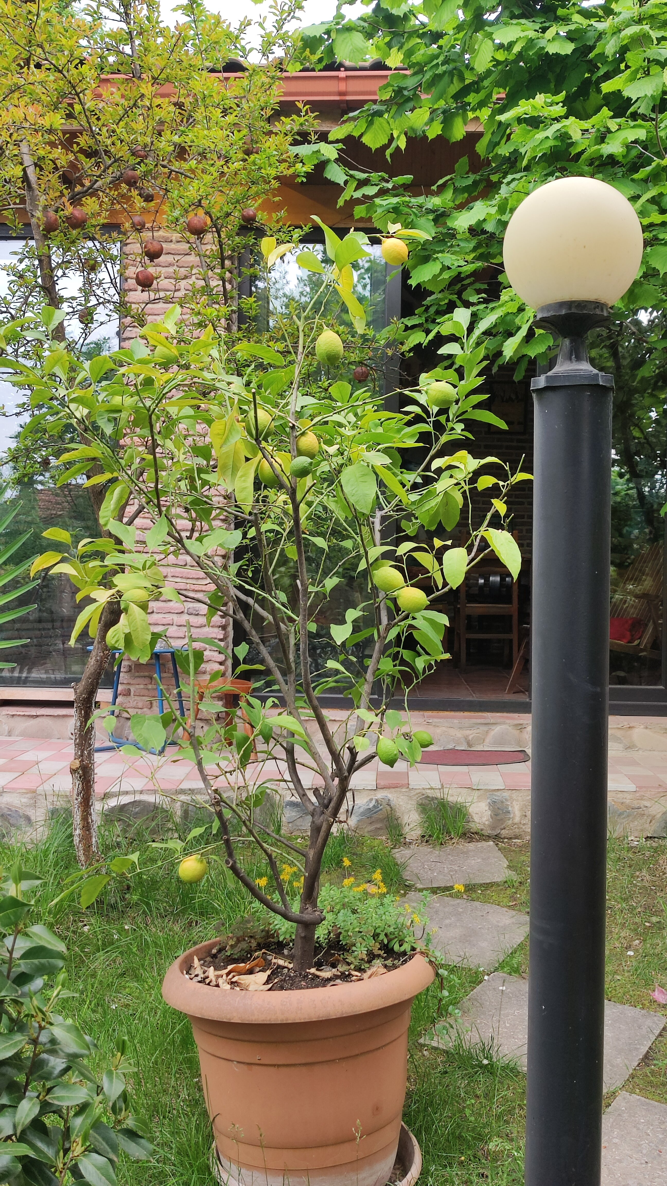 Фото Полиглоты