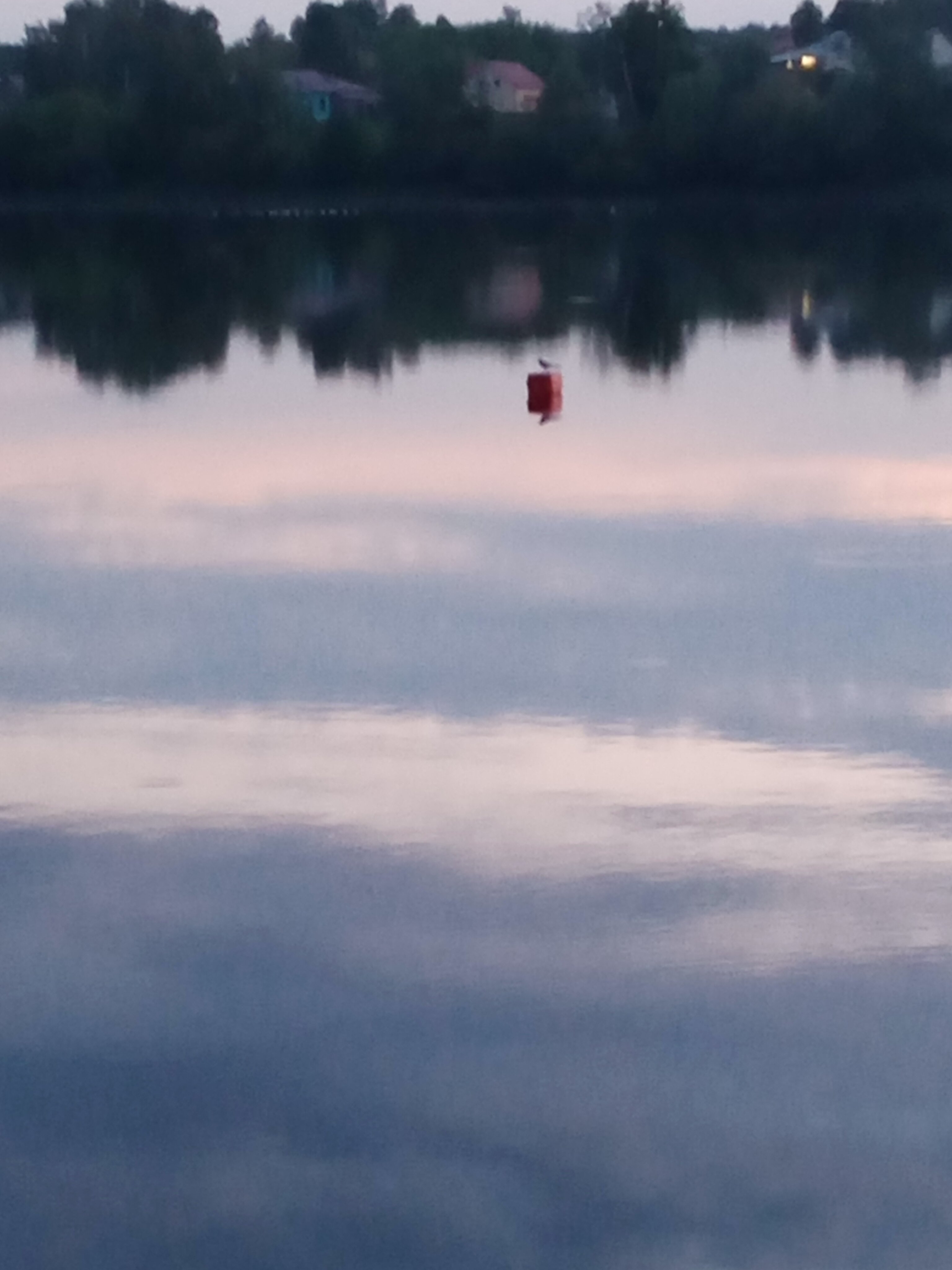 Фото Динамо