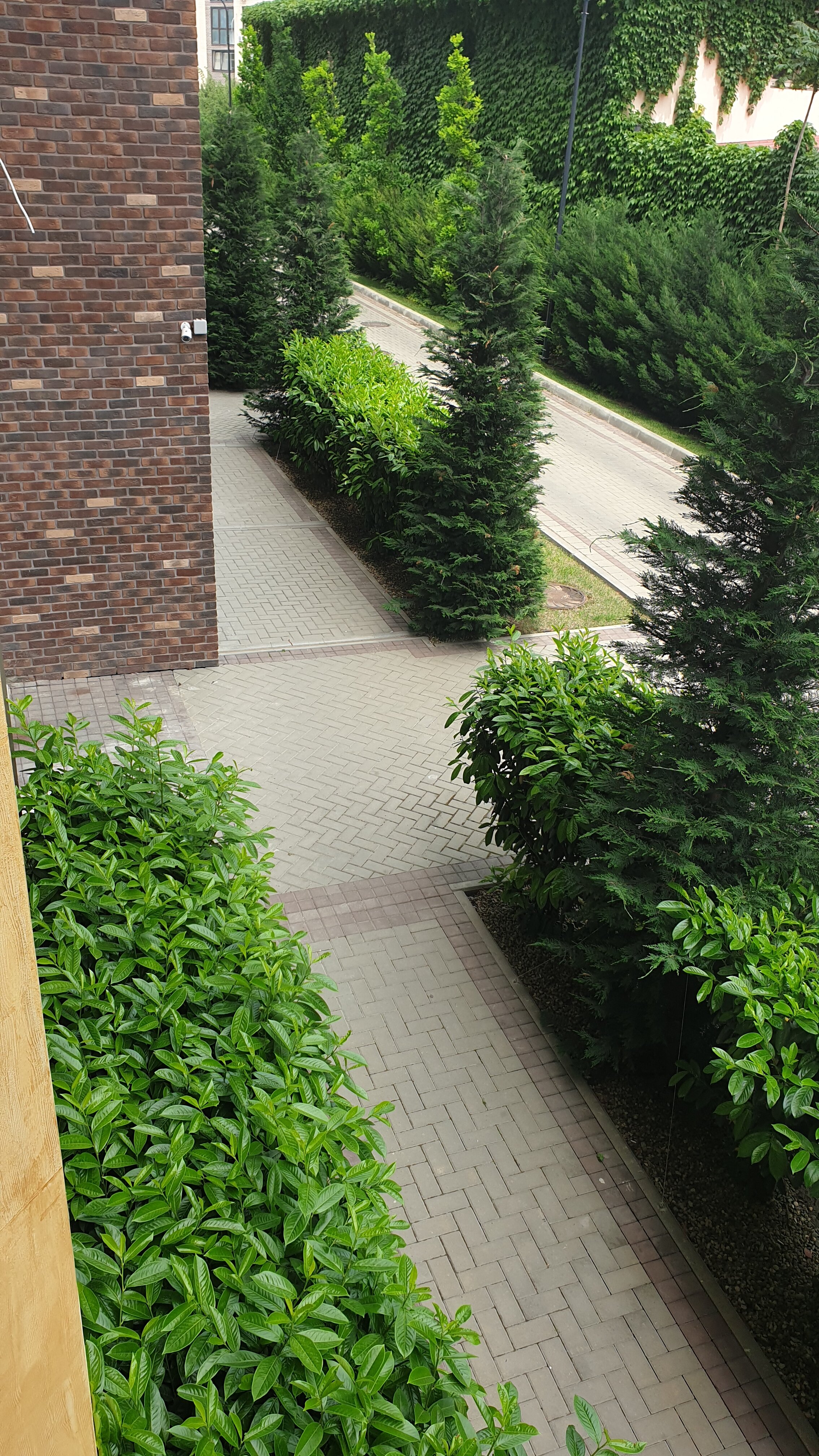 Фото Жильё посуточно