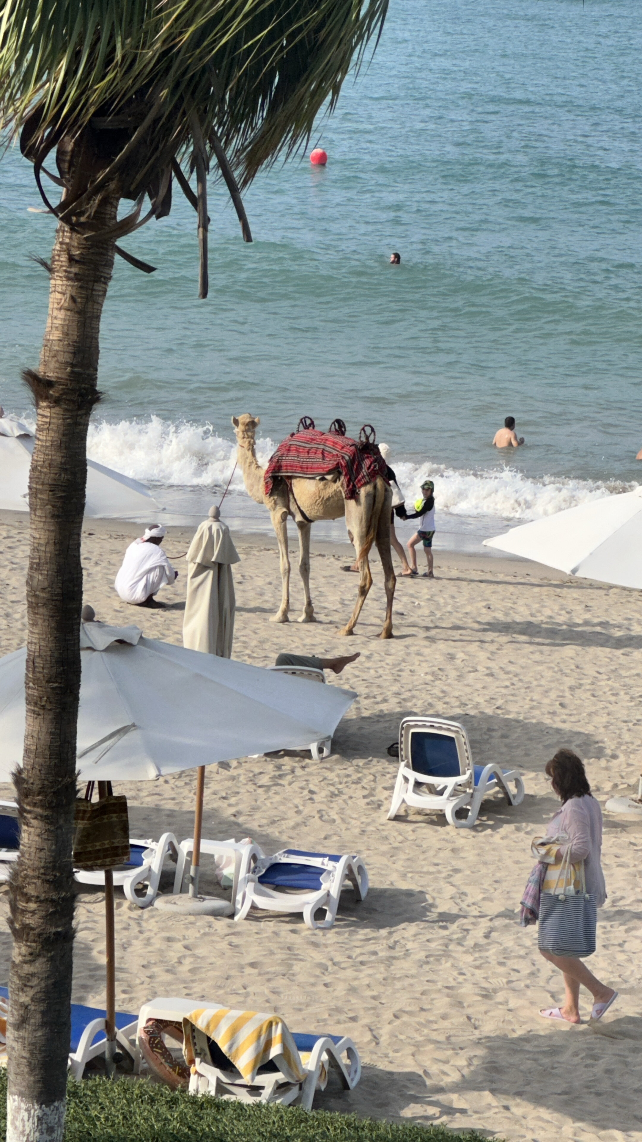 Фото Radisson Blu Resort Fujairah