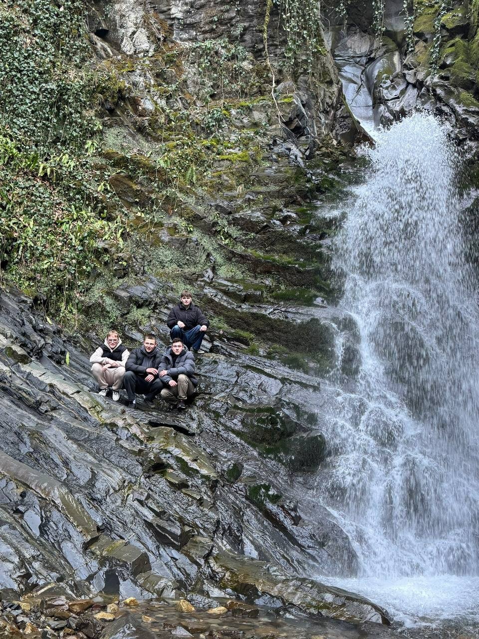 Фото Лесное поместье