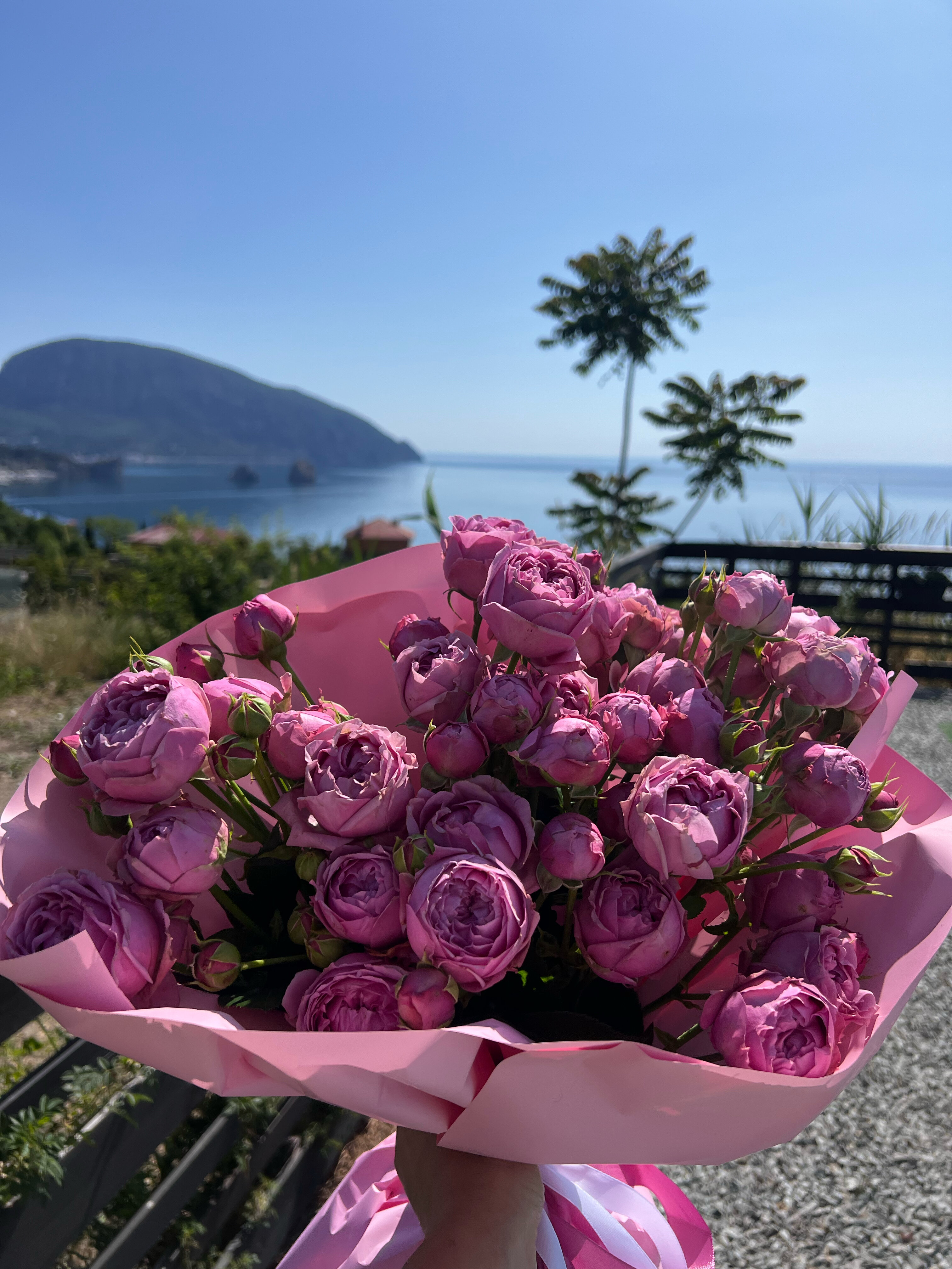 Фото Вилла Монте Виера