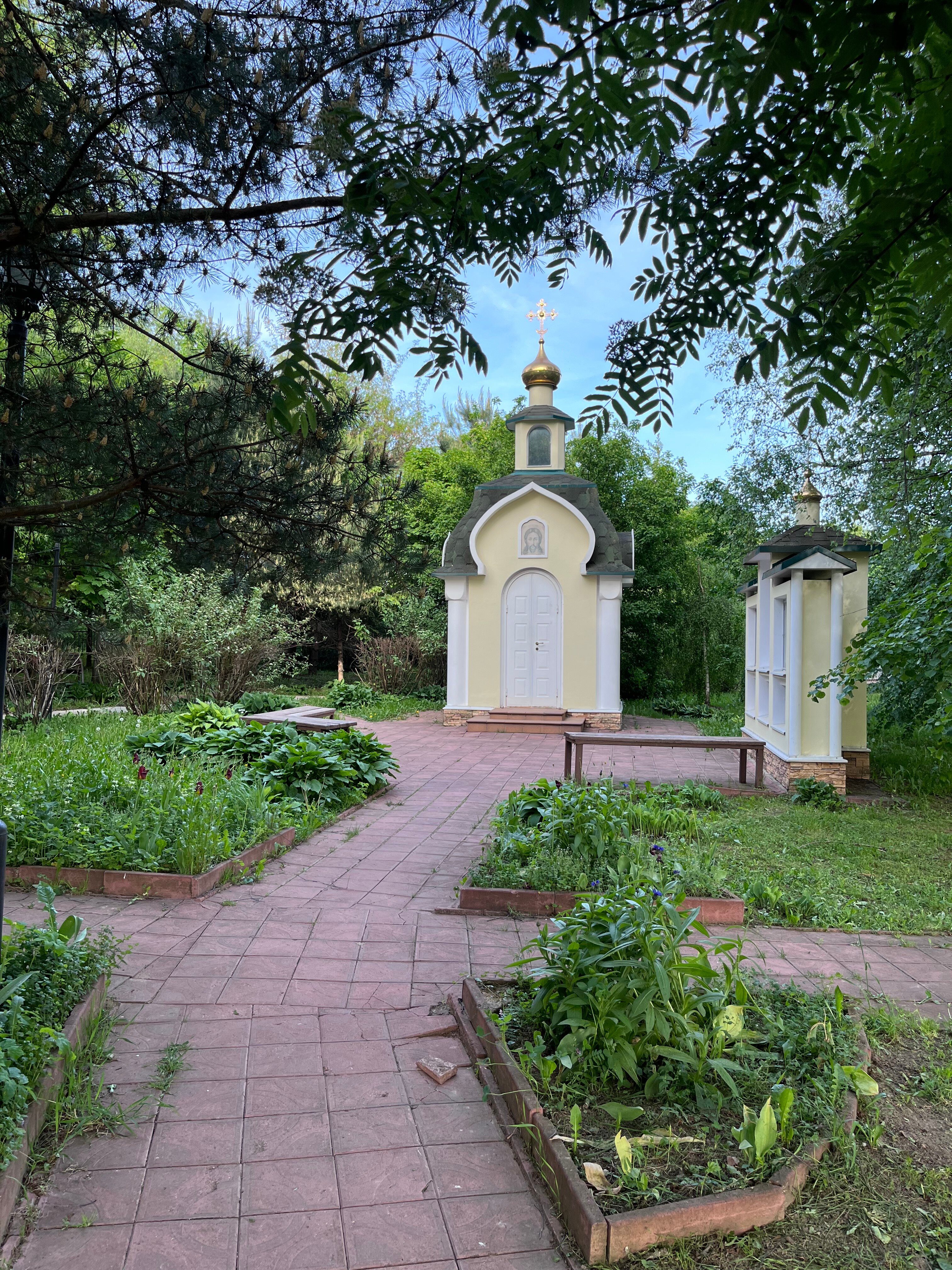 Фото Авиастарс