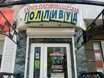 Gollivud (Schyorsa Street, 64), beauty salon