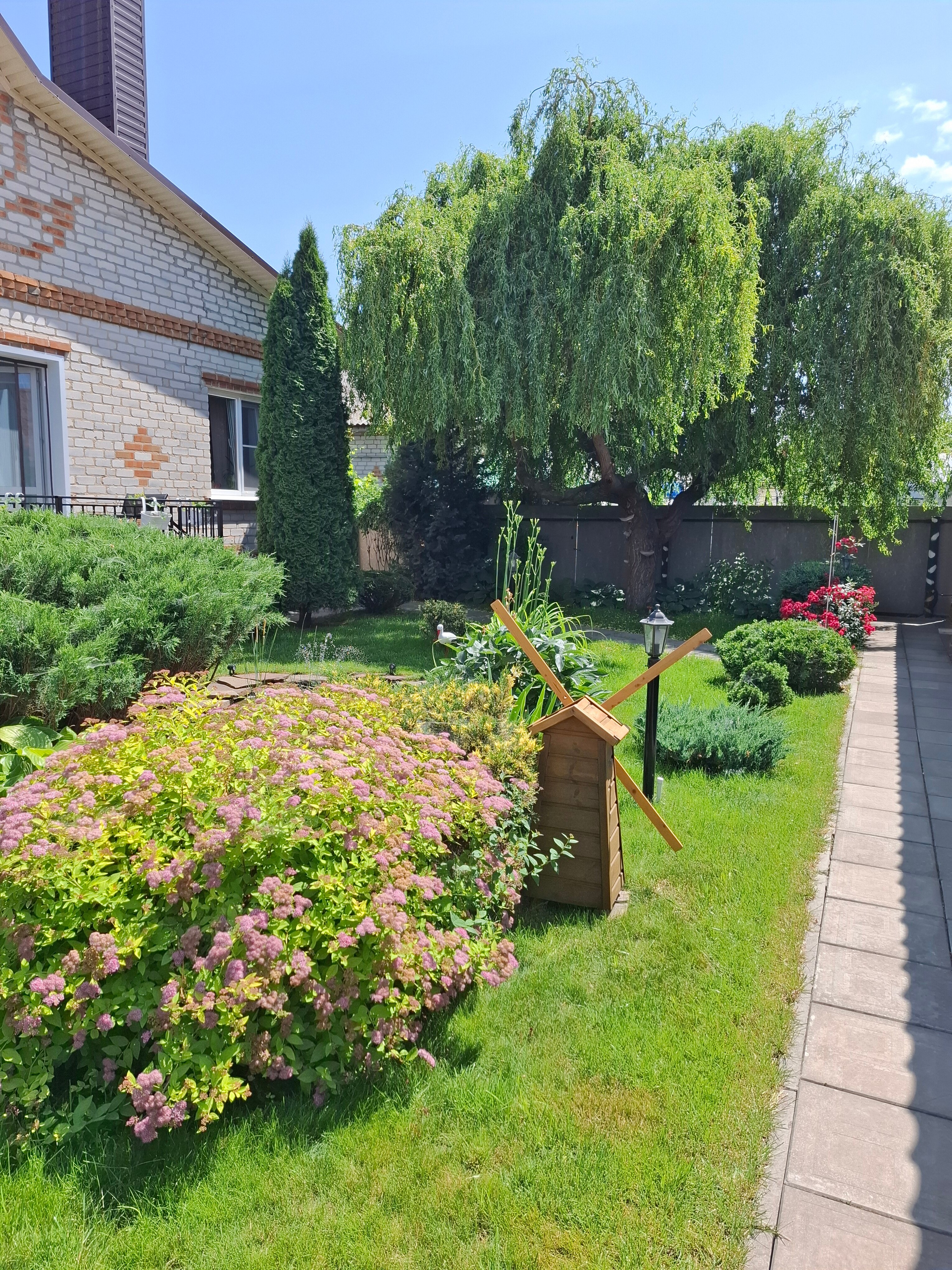 Фото Дворик