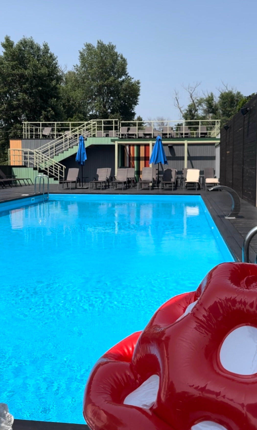 Фото Iva тенистая