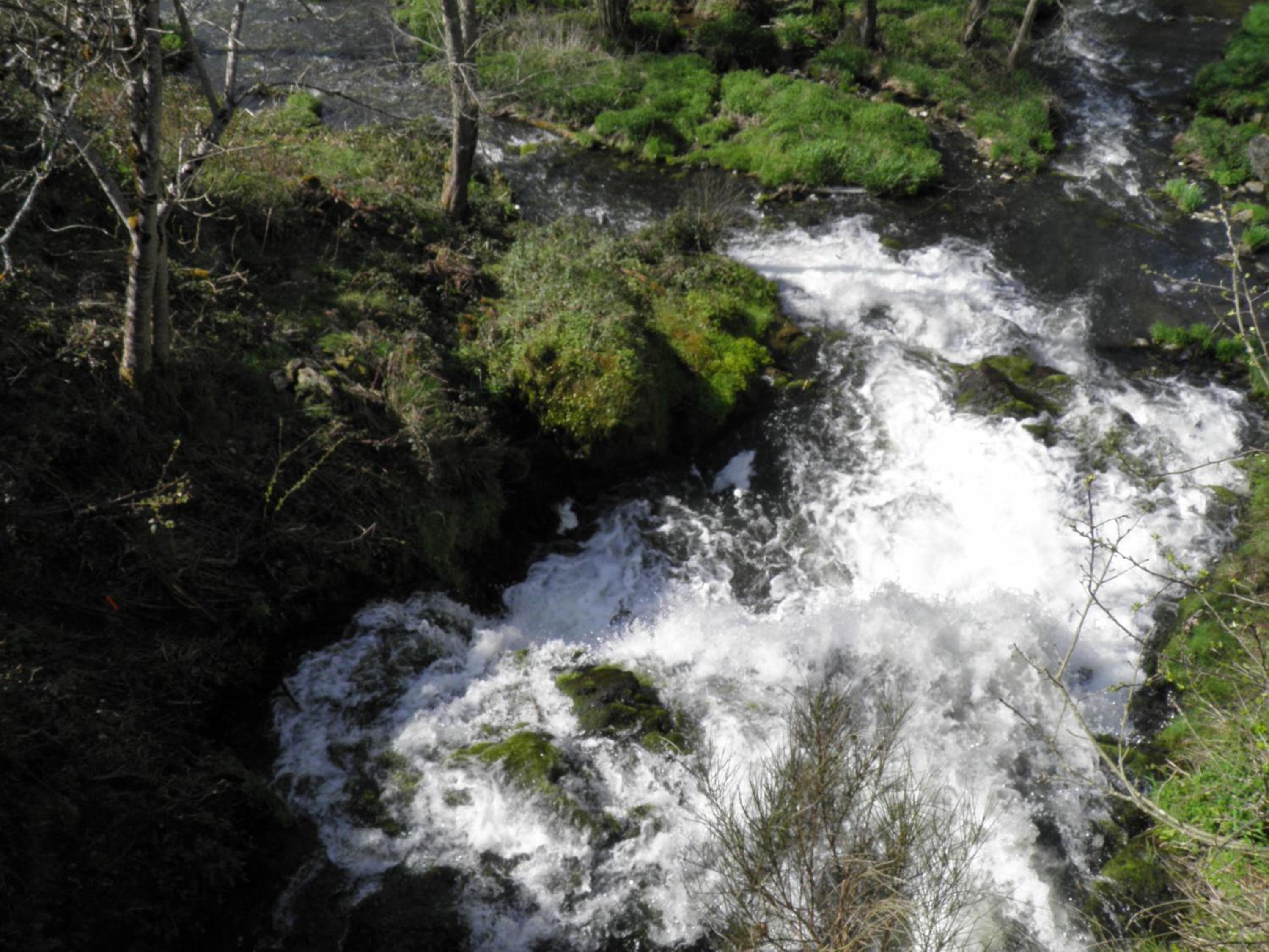 Фото Apparthotel Privilodges Carré de Jaude