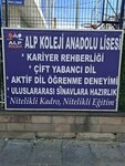 Alpine Health College (Ankara Province, Altındag District, Karapürçek Mah., Şehit Savaş Batu Cad., 35), escuela privada
