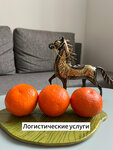 Лига транс (Naumova Street, 67/2) ، متعهد النقل