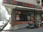 Cesur Leather (İstanbul, Güngören, Sanayi Mah., Sancak Sok.) ، متجر فراء وجلود