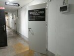 Woodland (Shota Rustaveli Street, 49), laser work