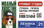 Модный Хвостик (Lenina Street, 21), salón de mascota, peluquería de animales