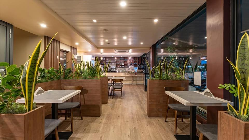 Фото Starshell Hotel