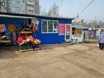 Агентство недвижимости (ulitsa Bagrationa, 25/10), real estate agency